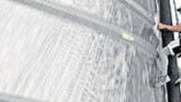 <b>HOMBRE AL PALO SUIZO. </b>Se rechazó la protesta de los kiwis.