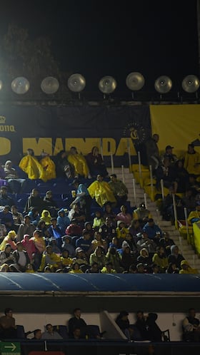 Los altos costos y los estragos en sus fans