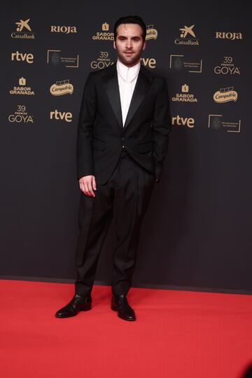 El actor Ricardo Gmez posa en la alfombra roja de los Premios Goya.