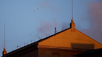 A bird flies near the chimney on the Sistine Chapel roof, on the second day of the conclave to elect the new pope at the Vatican, as seen from Rome, Italy, May 8, 2025. REUTERS/Amanda Perobelli