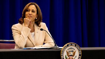 After dropping out of the 2024 presidential campaign, President Joe Biden and several other Democratic lawmakers endorsed Vice President Kamala Harris.