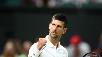 Tennis - Wimbledon - All England Lawn Tennis and Croquet Club, London, Britain - July 3, 2022 Serbia's Novak Djokovic reacts during his fourth round match against Netherlands' Tim van Rijthoven REUTERS/Hannah Mckay