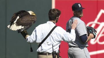 Un águila blanca visitó la MLB y aterrizó en un jugador