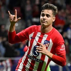 “Riquelme es un jugador en extinción”