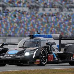 Cadilla domina, Alonso aprende