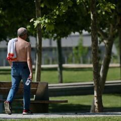 España, ante el "episodio de calor más intenso en 20 años"