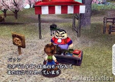 Harvest Moon: A Wonderful Life (GameCube)