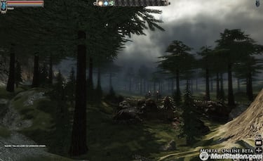 Mortal Online, Impresiones