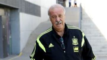 Villar quiere a Del Bosque hasta el Mundial de Rusia