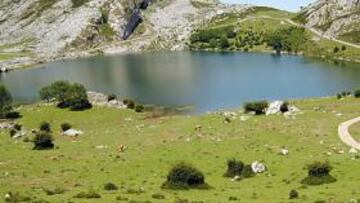 <b>BELLO ESCENARIO. </b>La Vuelta a España ha llegado a la dura cima de Lagos de Covadonga hasta en 17 ocasiones. Desde hoy serán 18.