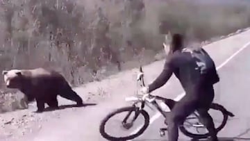 Un ciclista se defiende de un oso con su bicicleta