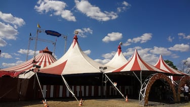 Día Mundial del Circo: origen y desde cuándo se conmemora