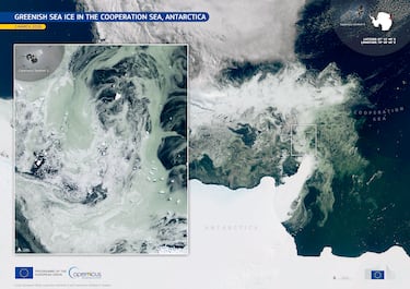 Satellite images show green ice in Antarctica: science explains it