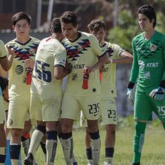 Conapred analiza video de juveniles del América