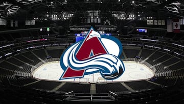 Colorado Avalanche (español: Avalancha de Colorado) es un equipo profesional de hockey sobre hielo de los Estados Unidos, situado en Denver (Colorado).