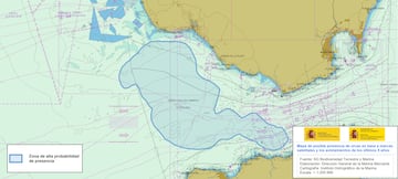 Zona delimitada del Golfo de Cádiz y el Estrecho de Gibraltar de alta probabilidad de presencia de orcas entre los meses de abril a agosto