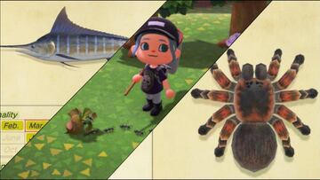 Animal Crossing: New Horizons