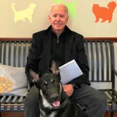 ¿Cómo fue el incidente con los perros del Presidente Joe Biden?