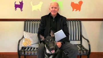 Joe Biden y su perro, Major. 