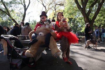 Tompkins Square Park es un parque de cuatro hectáreas del East Side de Manhattan en Nueva York donde se han reunido numerosos perros disfrazados para Halloween.