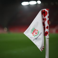 Quinigol jornada 25: pronósticos y resultados - 26/11/24