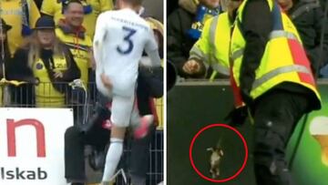 Repugnante: ¡lanzan ratas muertas al rival en un córner!