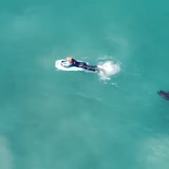 La tensa persecución de un tiburón a un niño grabada en dron