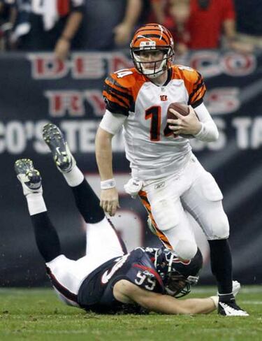 Imágenes y frases de wild card