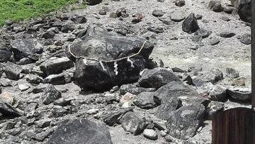 piedra japon