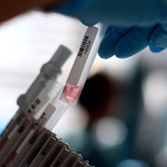 Qué es la mutagénesis letal y cómo podría ayudar a combatir la COVID-19