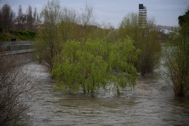 Crecida del río Manzanares en el parque de Madrid Río, a 20 de marzo de 2025, en Madrid (España). El río Manzanares y las presas madrileñas de El Pardo se encuentran al borde de su capacidad por el paso de la borrasca Martinho y tras varias jornadas de intensas lluvias, están poniendo en jaque varias vías de la capital por el riesgo de desbordamiento.
