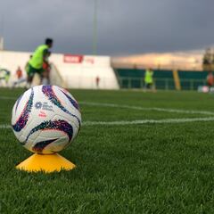 Liga Expansión: Alacranes no participaría en Apertura 2023; Zacatepec tomaría su lugar