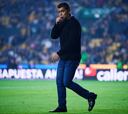 Tigres sack Marco Ruiz, Siboldi set to take the reins