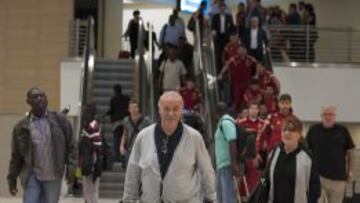 Del Bosque, seleccionador español