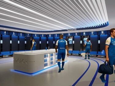 El proyecto tiene una extensión de 140.000 metros cuadrados y albergará 8 campos de fútbol con las dimensiones del campo de Riazor y 3 campos de apoyo de calentamiento.

