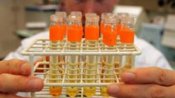 Muestras en el laboratorio de Lausana.