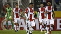 Grupo de Palestino en Libertadores: fixture y tabla de posiciones