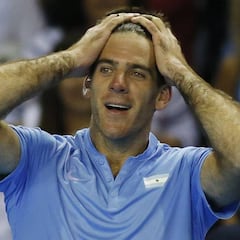 Del Potro vence a Murray tras más de cinco horas de partido