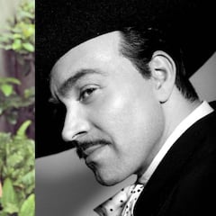 Omar Chaparro es defendido por Lupita Infante, nieta de Pedro Infante