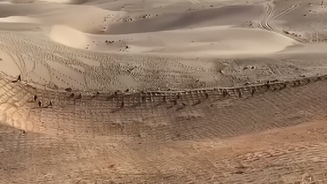 Straw grids, solar pumps and decades of effort are transforming one of the world’s harshest deserts into a test case for climate engineering.