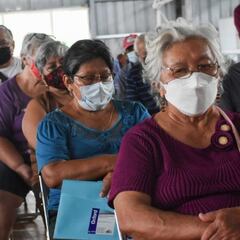 Programa Colombia Mayor: quiénes podrán recibirlo, de cuánto serán los montos y cómo postular