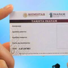 Tarjeta Inapam: ¿qué descuentos habrá para estas vacaciones y hasta cuándo duran?