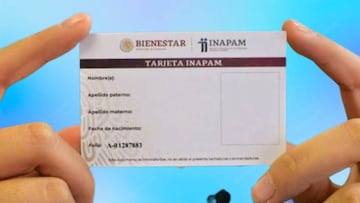 Tarjeta Inapam: ¿qué descuentos habrá para estas vacaciones y hasta cuándo duran?