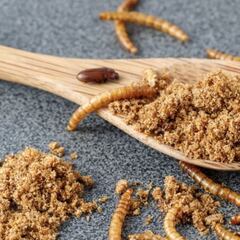 Estos son los alimentos que a partir de esta semana pueden contener gusanos en España