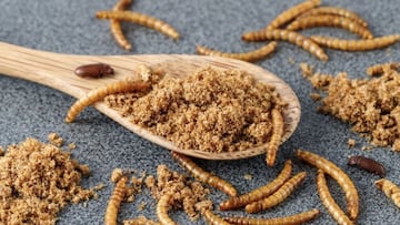 Estos son los alimentos que a partir de esta semana pueden contener gusanos en España