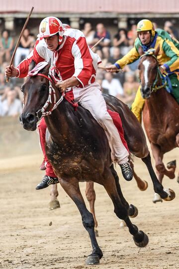 El vencedor de este Palio ha sido el jinete de la contrada "Giraffa" Giovanni Atzeni, conocido como "Tittia", con su caballo Tale. (En la imagen el jinete de color rojo y blanco).