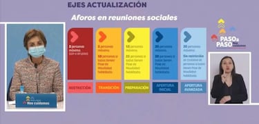Cambios en el Plan Paso a Paso: ¿en qué casos es necesario el Permiso de Movilidad?