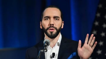 Nayib Bukele, mandatario de esta naci&oacute;n de Centoam&eacute;rica declar&oacute; que la persona que dio positivo por COVID-19 viaj&oacute; a Italia; ya lo mantienen aislado.