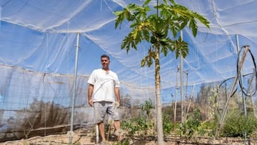 Christian, el ingeniero que dejó su vida atrás hace 20 años por la isla más afortunada de España: “Me dediqué a la tierra y mis gallinas”