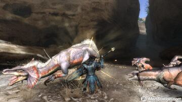 Captura de pantalla - monster_hunter_tri_09.jpg